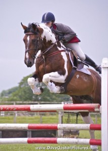 The Full Monty – Both a Grade A Showjumper, and a HOYS/RIHS Ridden Finalist