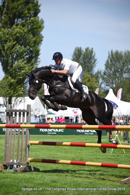 Talented, Versatile OS Licensed Stallion suitable for Showjumping and Eventing with 40% TB Blood